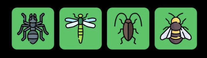 FLIES Daily Combo 15 May 2025